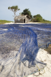 Gazi, Kenya (8 February 2014).