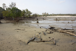 Gazi, Kenya (8 February 2014).