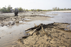 Gazi, Kenya (8 February 2014).