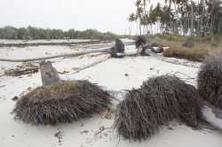 Gazi, Kenya (8 February 2014).