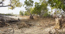 Gazi, Kenya (8 February 2014).