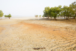 Gazi, Kenya (8 February 2014).