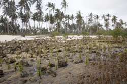 Gazi, Kenya (8 February 2014).