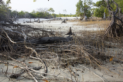 Gazi, Kenya (8 February 2014).