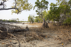 Gazi, Kenya (8 February 2014).