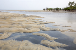 Gazi, Kenya (8 February 2014).