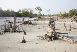 Gazi, Kenya (8 February 2014).