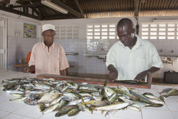 Vanga, Kenya (9 February 2014).