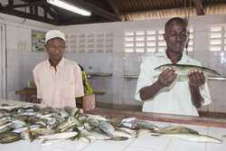 Vanga, Kenya (9 February 2014).
