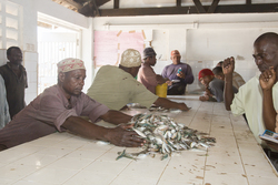 Vanga, Kenya (9 February 2014).