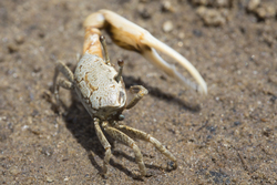 Vanga, Kenya (9 February 2014).