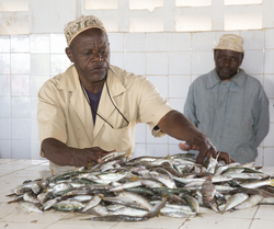 Vanga, Kenya (9 February 2014).