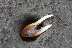 Vanga, Kenya (9 February 2014).