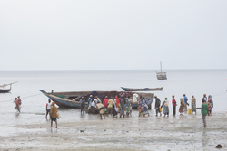 Gazi, Kenya (9 February 2014).