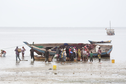 Gazi, Kenya (9 February 2014).