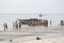 Gazi, Kenya (9 February 2014).