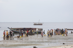 Gazi, Kenya (9 February 2014).
