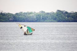 Gazi, Kenya (9 February 2014).