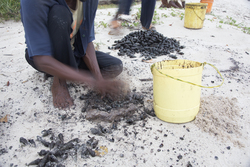 Gazi, Kenya (9 February 2014).