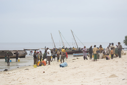 Gazi, Kenya (9 February 2014).