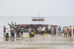 Gazi, Kenya (9 February 2014).