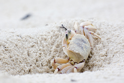 Gazi, Kenya (9 February 2014).