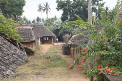 Gazi, Kenya (9 February 2014).