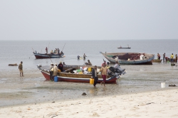 Gazi, Kenya (10 February 2014).