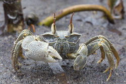 Gazi, Kenya (10 February 2014).