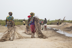 10.02.2014 Makongeni