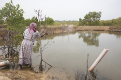 Makongeni, Kenya (10 February 2014).