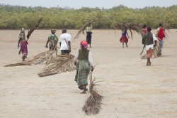 Makongeni, Kenya (10 February 2014).