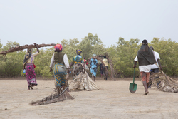 Makongeni, Kenya (10 February 2014).