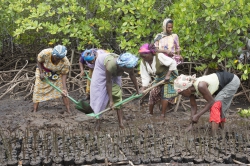 10.02.2014 Makongeni