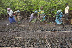 Makongeni, Kenya (10 February 2014).