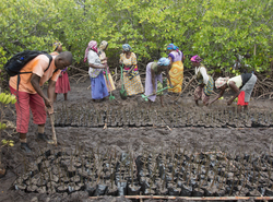 Makongeni, Kenya (10 February 2014).