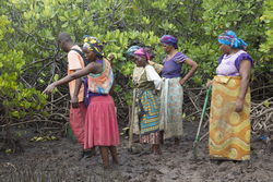 Makongeni, Kenya (10 February 2014).