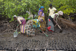 Makongeni, Kenya (10 February 2014).