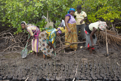 Makongeni, Kenya (10 February 2014).