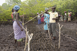 Makongeni, Kenya (10 February 2014).