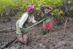 10.02.2014 Makongeni