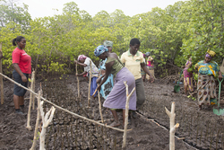 Makongeni, Kenya (10 February 2014).