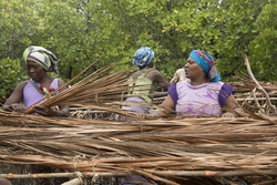 Makongeni, Kenya (10 February 2014).