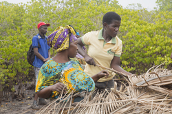 Makongeni, Kenya (10 February 2014).