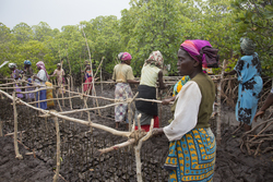 Makongeni, Kenya (10 February 2014).