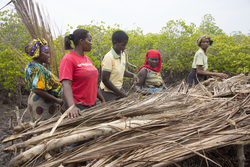 Makongeni, Kenya (10 February 2014).