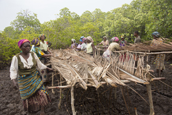 Makongeni, Kenya (10 February 2014).