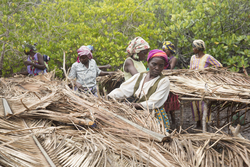 Makongeni, Kenya (10 February 2014).