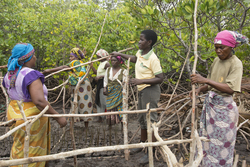 Makongeni, Kenya (10 February 2014).