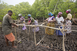 Makongeni, Kenya (10 February 2014).